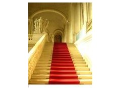 重庆展览地毯一次性地毯李振华 重庆展览地毯一次性地毯李振华