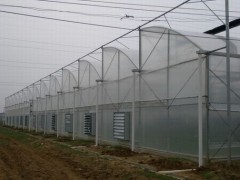 不对称拱型(锯齿型)连栋薄膜温室