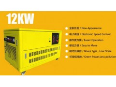 双燃料汽油燃气发电机|5kw家用燃气发电机|电启动发电机