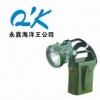 供应IW5100GF便携式强光防爆应急工作灯