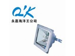 海洋王NFC9100防眩棚顶灯-防眩顶灯型号/价格 海洋王NFC9100防眩棚顶灯-防眩顶灯型号/价格