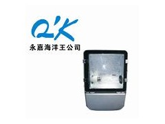 海洋王NFC9140节能型广场灯-海洋王广场灯价格-厂家直销 海洋王NFC9140节能型广场灯-海洋王广场灯价格-厂家直销
