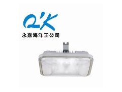 海洋王NFC9175长寿顶灯-长寿顶灯型号-厂家直销 海洋王NFC9175长寿顶灯-长寿顶灯型号-厂家直销