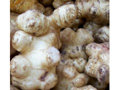 酱腌菜加工生产线设备