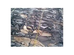 众诚碎牛皮批发