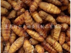 出口韩国速冻蚕蛹