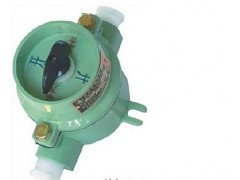 SW-10系列防爆照明开关(IIB) 柯铭防爆照明开关