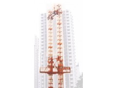 嘉兴市专业生产有备案证的自升式门架升降机