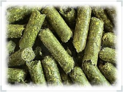 苜蓿草颗粒草粉加工商 苜蓿草颗粒草粉加工商