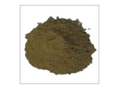 供应海藻粉马尾藻 供应海藻粉马尾藻