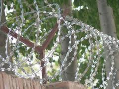 刀片刺网 刺绳厂 刀片刺网 刺绳厂