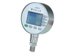 供应数字显示压力表厂家批发 供应数字显示压力表厂家批发