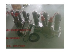 西安耐电供应双电源自动切换开关HZW32-12 西安耐电供应双电源自动切换开关HZW32-12