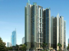 广州专业派单公司