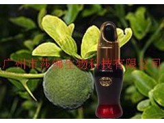 莎佛100%纯天然苦橙叶精油   抗沮丧抗痉挛除臭镇静