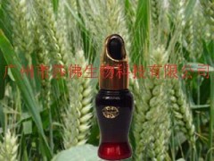 莎佛100%有机小麦胚芽油 消除疤痕抗皱