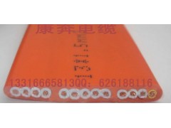 13芯1.25平方扁线