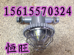 防爆荧光灯  LED巷道灯 防爆荧光灯  LED巷道灯