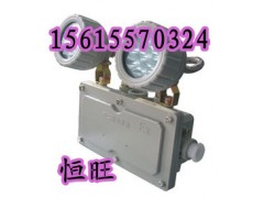 矿用应急灯  LED防爆应急灯 矿用应急灯  LED防爆应急灯
