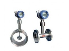 靶式流量计