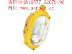 海洋王BFC8120内场强光防爆灯BFC8120 海洋王BFC8120内场强光防爆灯BFC8120