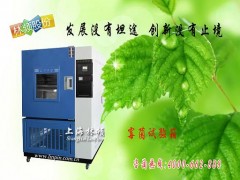 霉菌试验箱