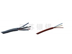 氟塑料绝缘硅橡胶护套电缆线 氟塑料绝缘硅橡胶护套电缆线