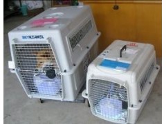 深圳空运机场空运价格咨询 深圳空运机场空运价格咨询