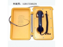 户外防雨防雷电话机 户外防雨防雷电话机