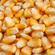 湖南省湘粮饲料养殖公司