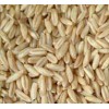 常年求购大麦玉米胚芽粕次粉等原料