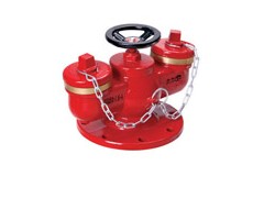 供应SQD100-1.6A多用式地下式水泵接合器 供应SQD100-1.6A多用式地下式水泵接合器