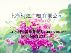 山西卫视广告电话咨询热线