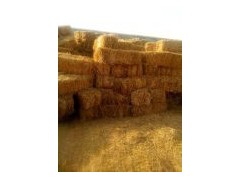 牧草捡拾式打捆机 稻草收割式方捆机  麦草方捆机