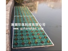 种植水生植物，水生态修复，河流湖泊整治，生态净水的生态浮床