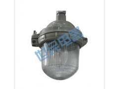 CGT9112A防眩应急泛光灯