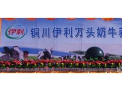 出售庆典奠基启动球舞台启动球LED启动球