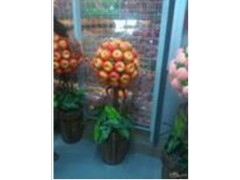 仿真苹果树批发 福建仿真苹果树 订做仿真苹果树