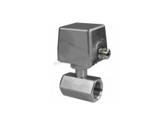 进口挡片式流量开关FB31 进口挡片式流量开关FB31