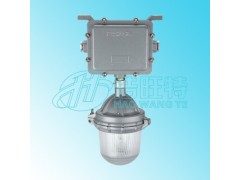 浩旺特HF1104防眩泛光灯 浩旺特HF1104防眩泛光灯