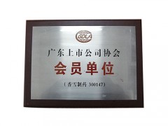 制作行业协会奖牌，理事会单位牌匾，厂家直销奖牌