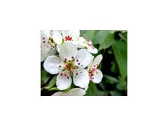 郑州交通广播 郑州交通广播