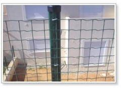 辽宁营口低碳钢丝荷兰网围栏 辽宁营口低碳钢丝荷兰网围栏