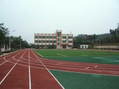 专业铺设透气型塑胶跑道  透气型塑胶跑道铺装工艺