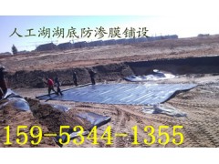 山东防渗膜厂家