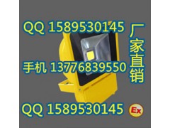 BFC8188BLED防爆泛光灯,LED防爆吸壁式投光灯