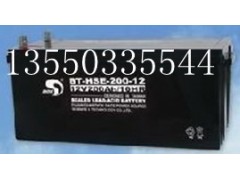BT-HSE-120-12应急电源电池 BT-HSE-120-12应急电源电池