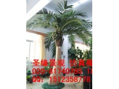 玻璃钢椰子树  仿真椰子树装饰 海南椰子树