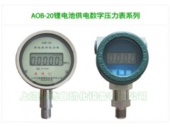 峰值数字压力表