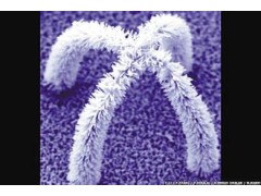 化妆品防晒用纳米氧化锌